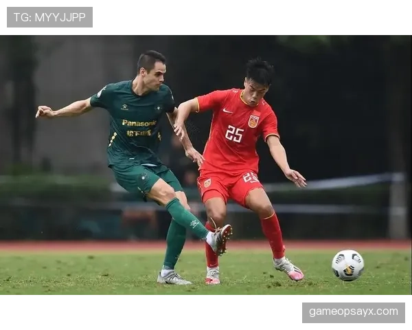 从新星到核心中锋：弗拉霍维奇的荣誉与责任